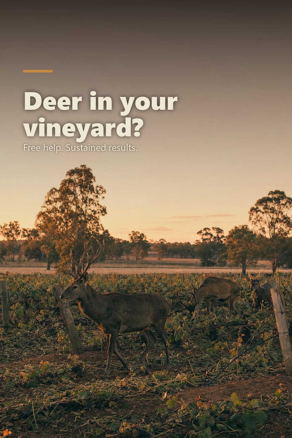 Current Meta ad creative: TMC-02 - A7v2 deer